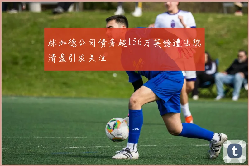 林加德公司债务超156万英镑遭法院清盘引发关注