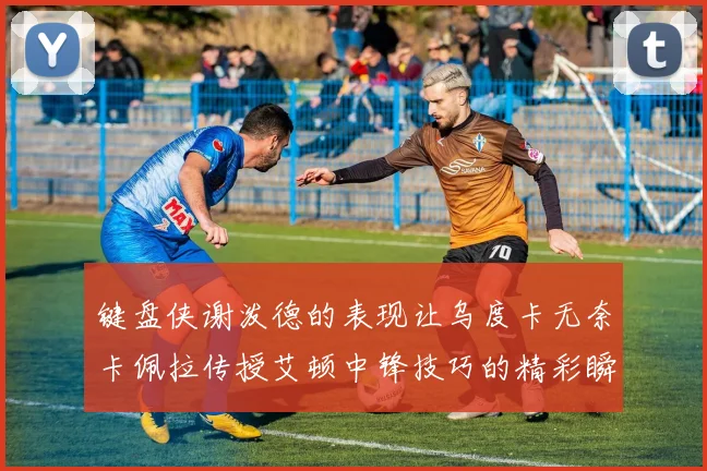 键盘侠谢泼德的表现让乌度卡无奈卡佩拉传授艾顿中锋技巧的精彩瞬间