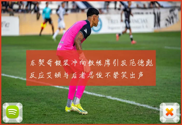 东契奇假装冲向教练席引发范德彪反应艾顿与后者忍俊不禁笑出声